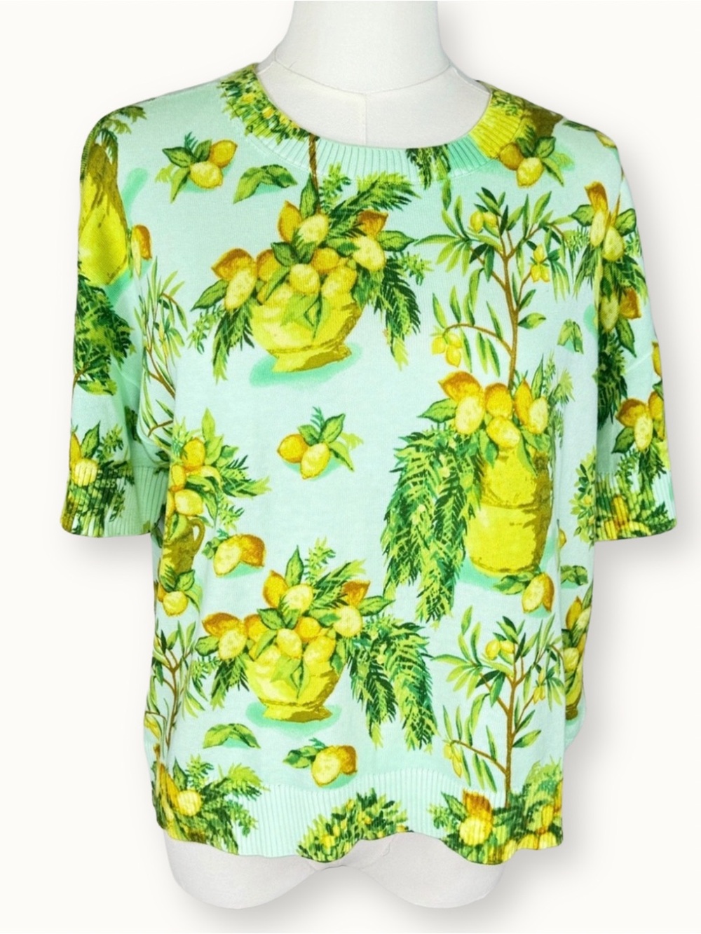 Talbots Mint Green Lemon Tree Print Knit Pullover Sweater NWOT